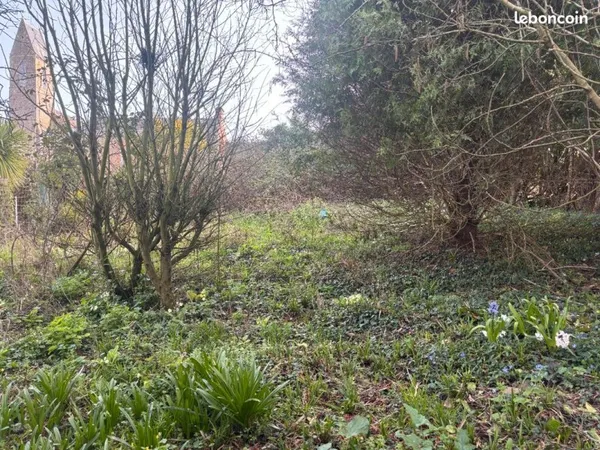 Terrain constructible