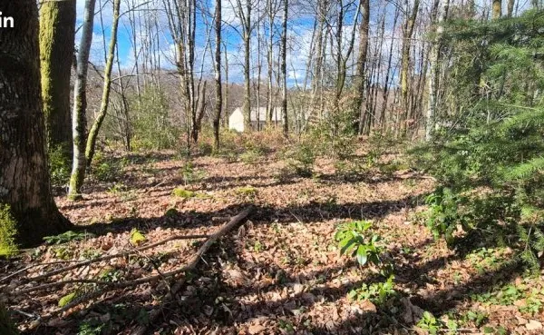 Terrain constructible