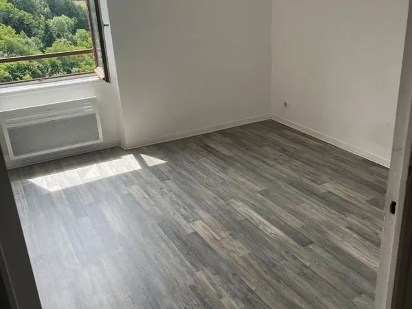 T1 Bis de 28m² rénové à Thiers - Rue Gambetta