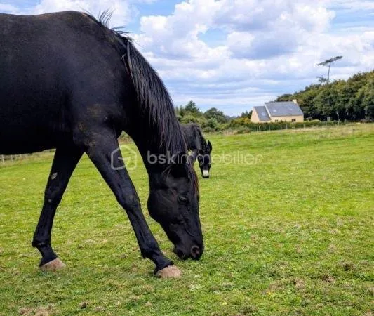 Maison au calme avec 1,9 ha de terrain - Hangar - Proche plages