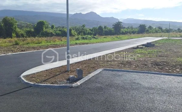 Terrain 250 m²