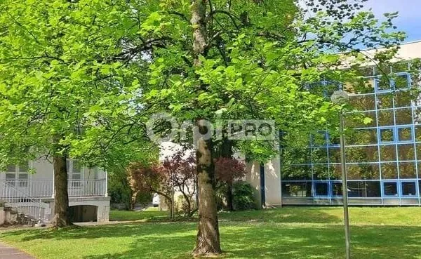 Bureau 29 m²