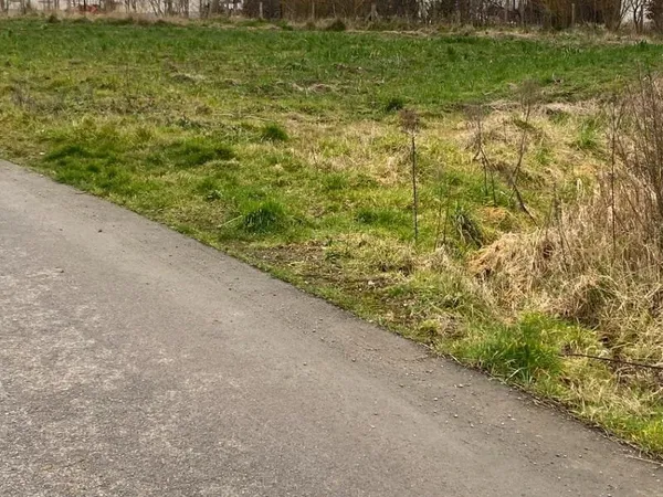 Terrain 1000 m²