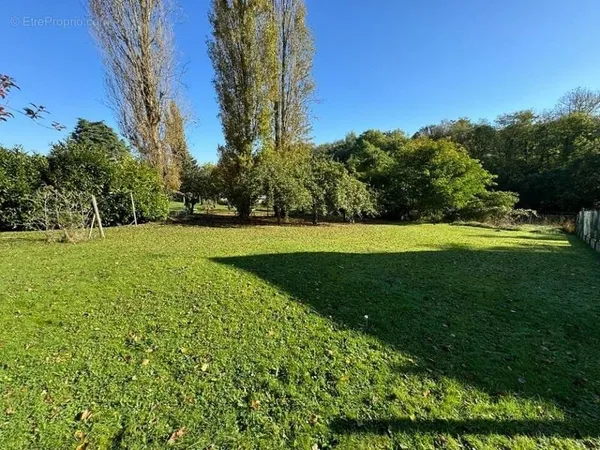 Terrain 350 m²