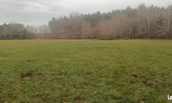 Terrain Agricole Prairie