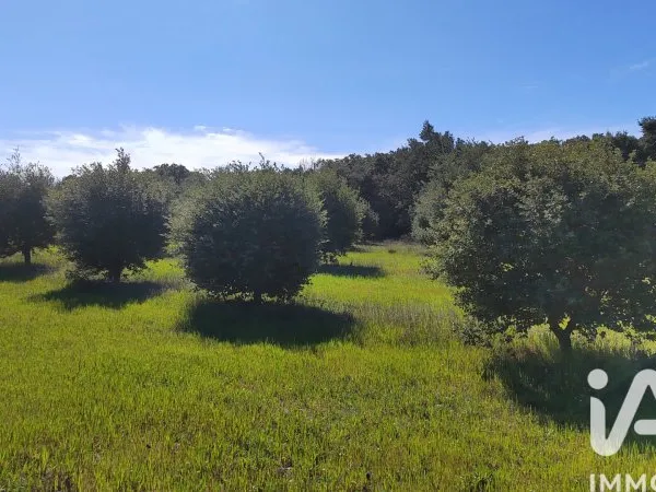 Terrain 4400 m²