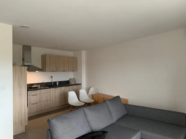 Appartement F2 meublé avec terrasse