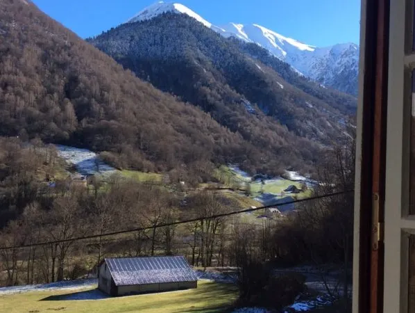 Magnifique bigourdane dans le Val d'Azun !