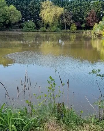Terrain avec étang