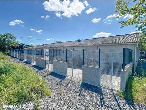 Maison avec pension et élevage canin