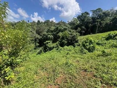 Beau Terrain 899m², Vue dégagée, RIVIERE-SALEE