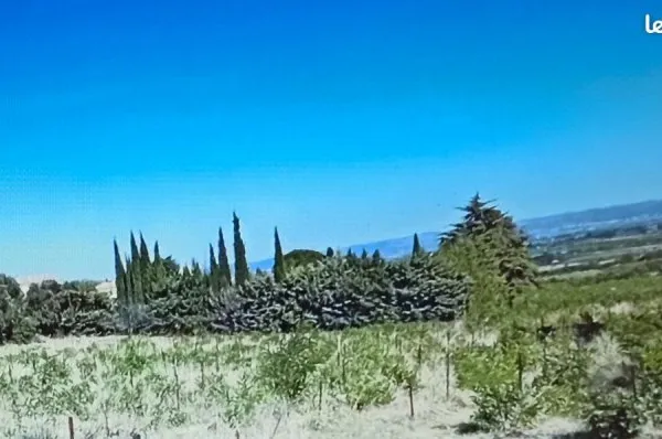 Terrain / Eco-Lieu à St.Guiraud . 150 / m2