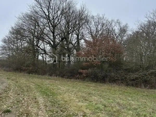Terrain 16 160 m² Veuves