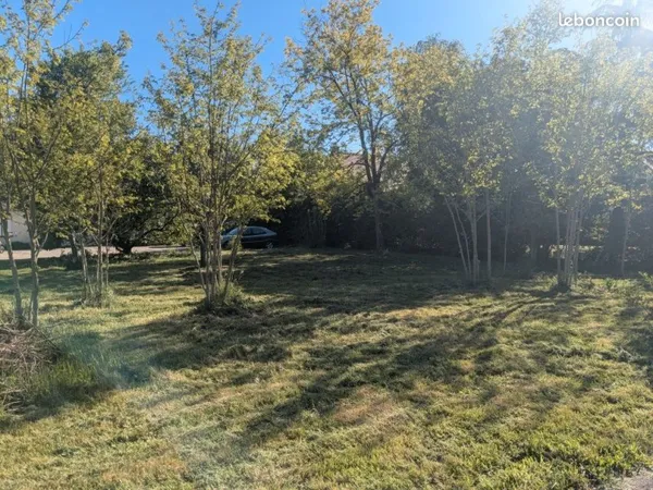 Terrain constructible