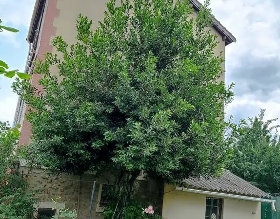 Maison 4 pièces 70 m²