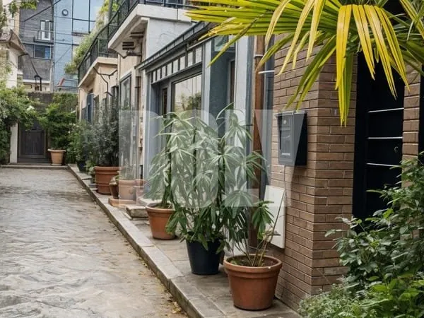 MAISON DE VILLE - DOLY - 75017