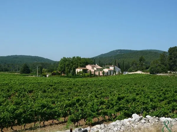 Domaine viticole Moyen Var