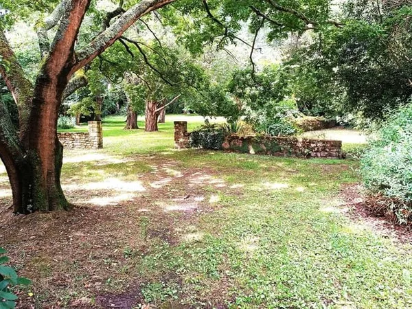 Terrain 3000 m²