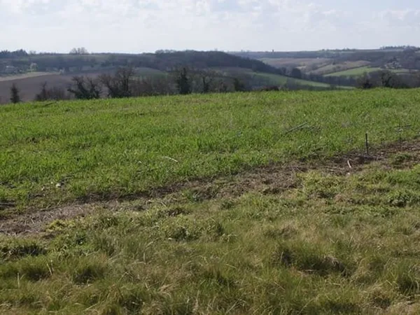 Terrain 3508 m²