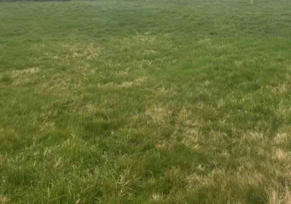 Terrain 750 m²