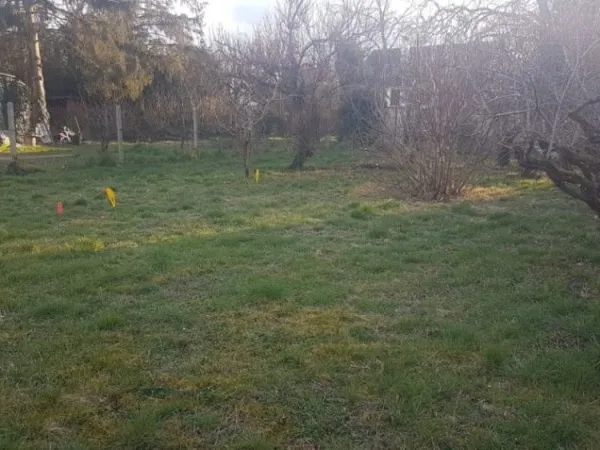 Terrain 260 m²