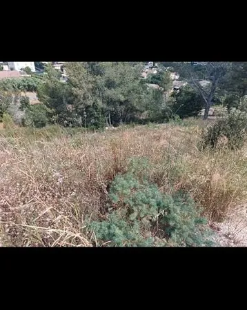 Terrain viabilisé