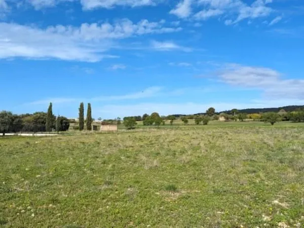 Terrain 245 m²