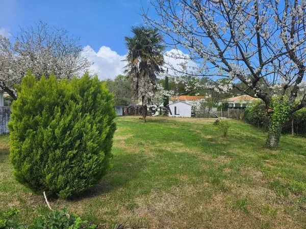 Terrain 835 m²