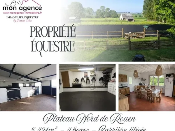 Propriété équestre à 20 minutes de Rouen - Plateau Nord