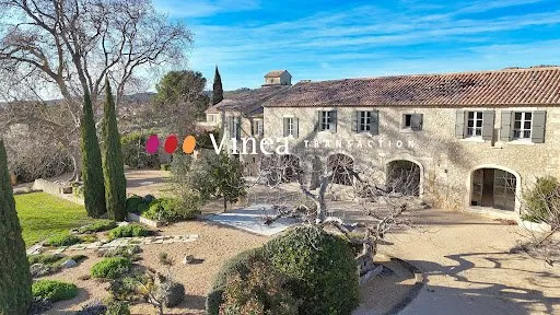 Vignoble 1300 m²