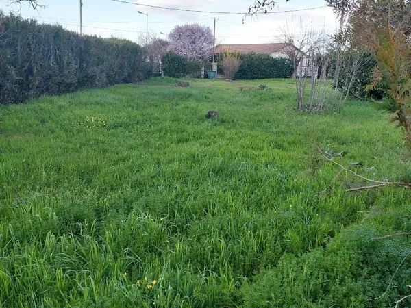 Terrain constructible