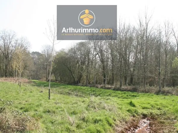 GUILLAC TERRAIN BOISÉ 3 500 M²