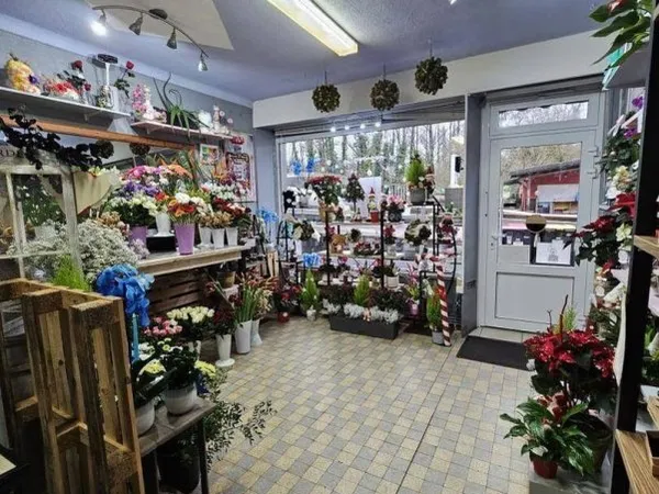 Local commercial 45 m²