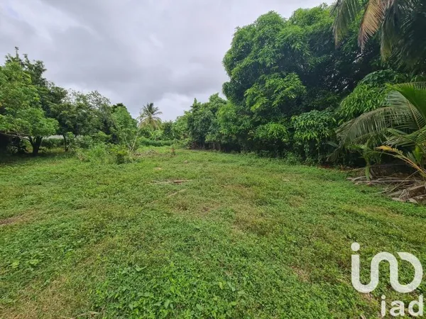 Vente Terrain à bâtir 1 196 m²
