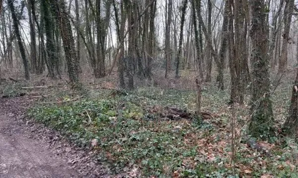 Terrain 775 m²