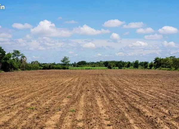 Terrain 496 m² Thumeries