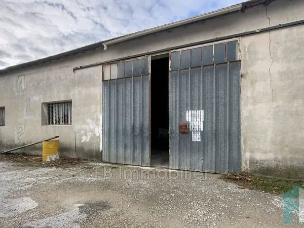 Local commercial 239 m²