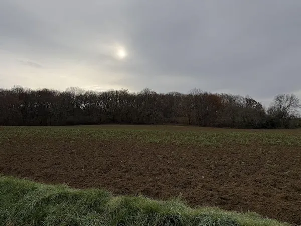 Bien agricole et foncier Vente Bon-Encontre   50000€