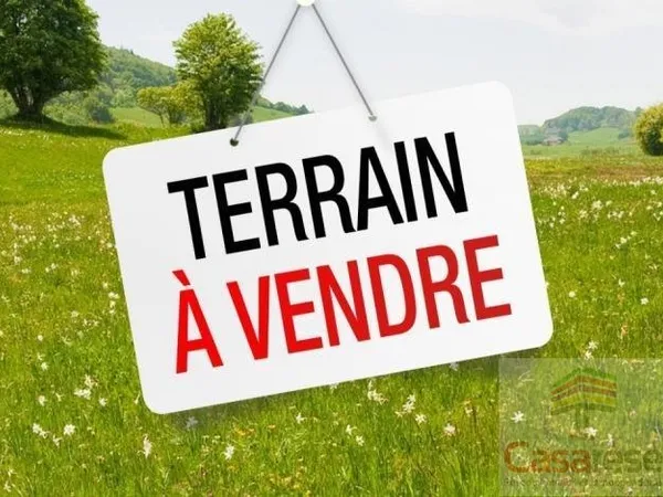 Terrain constructible