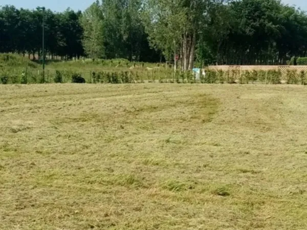 Terrain 1163 m²