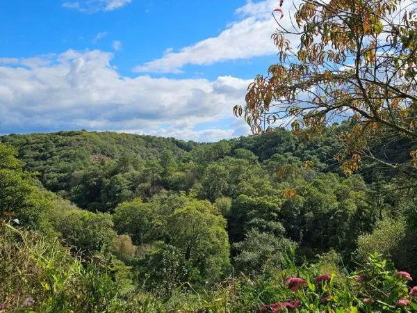 Propriété 11 pièces 250 m²