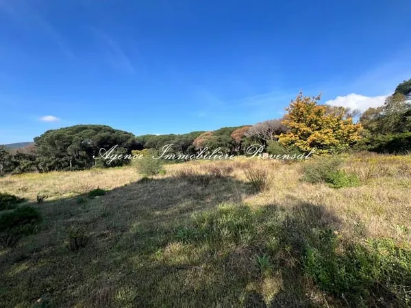 Vente terrain