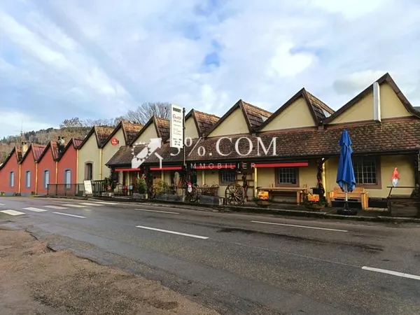 LOCAL PROFESSIONNEL + DEUX TERRAINS NUS