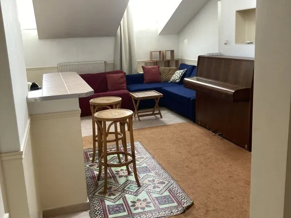 Loue appartement 53m² duplex meublé Lyon 7ème