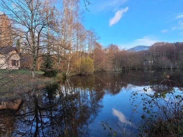 Terrain 10000 m²