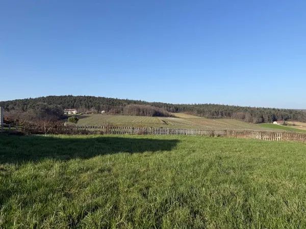 "Terrains à LA ROCHE VINEUSE (71960) - à partir de 135000 €"