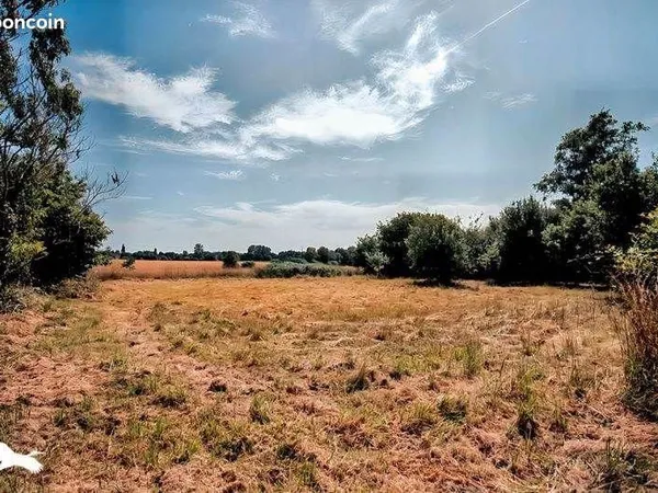 Maison 5 pièces 119 m²
