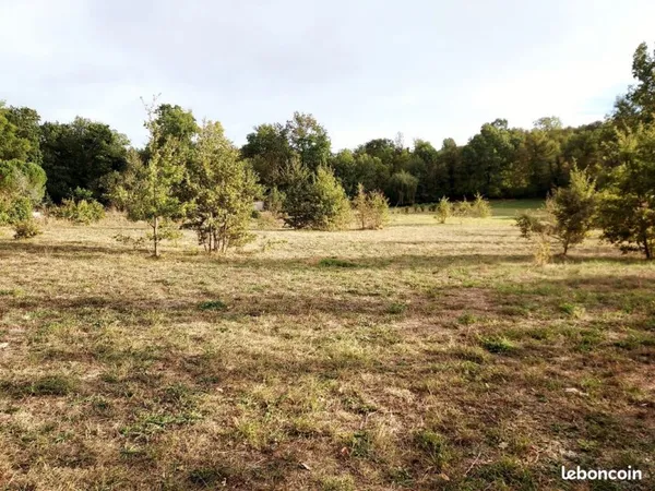 Terrain 3848 m2 Bruniquel 55 000