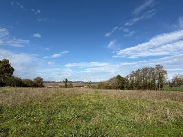 Terrain 995 m²