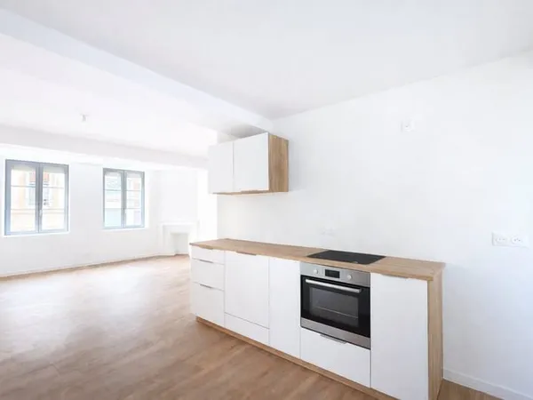 Appartement entièrement rénové - Roanne hyper-centre